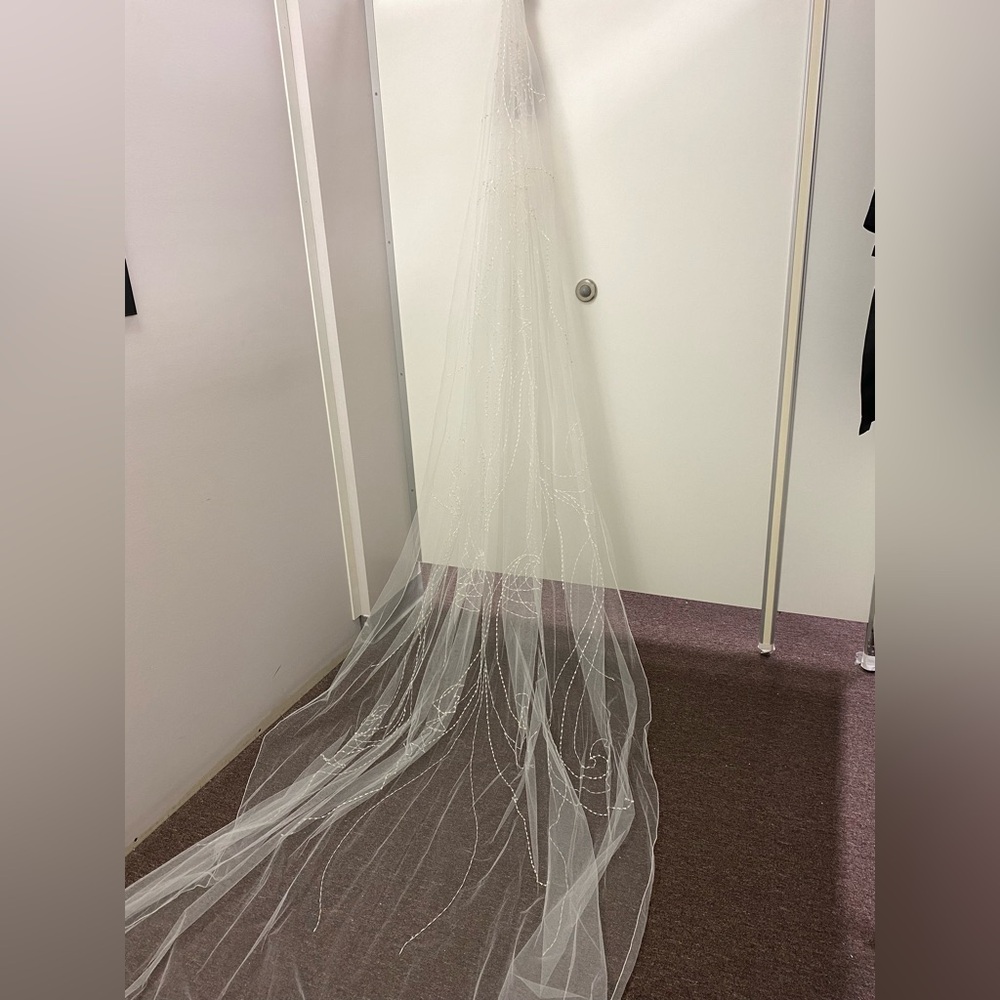 Ivory cathedral beaded veil